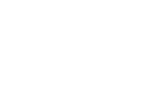 Kris the Lioness